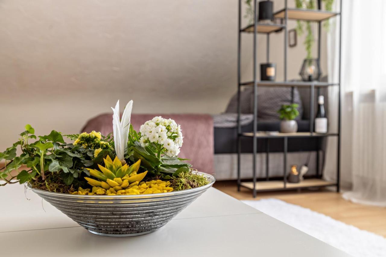 טריברג Ferienappartement Sonnenhof מראה חיצוני תמונה